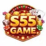 s55 game